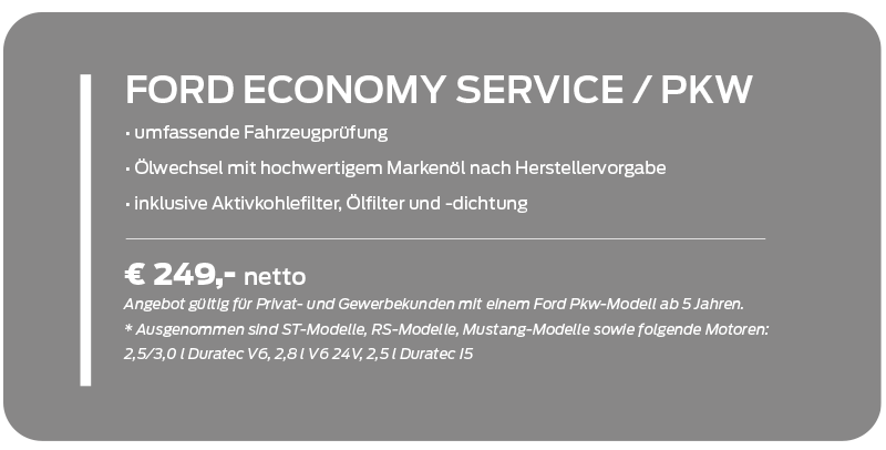 Economy Service PKW